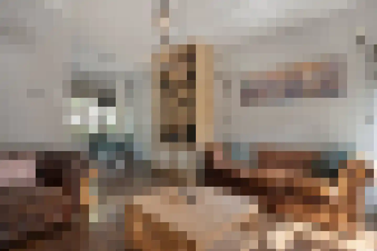 Begoniastraat 48 Zwolle thumbnail 12