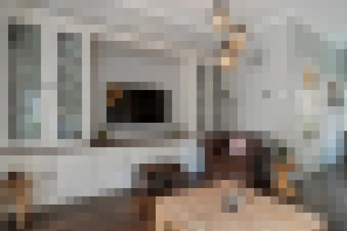 Begoniastraat 48 Zwolle thumbnail 13