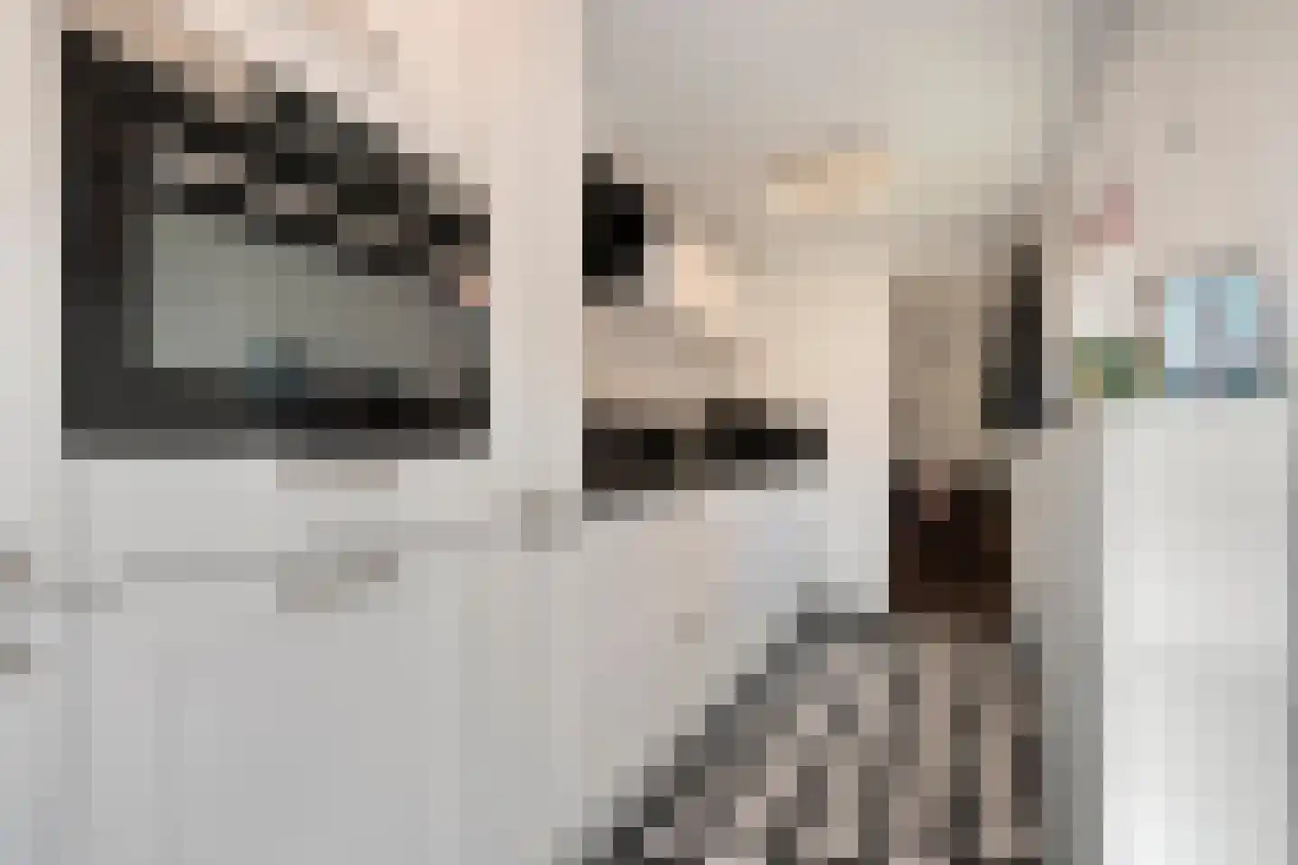 Begoniastraat 48 Zwolle thumbnail 15