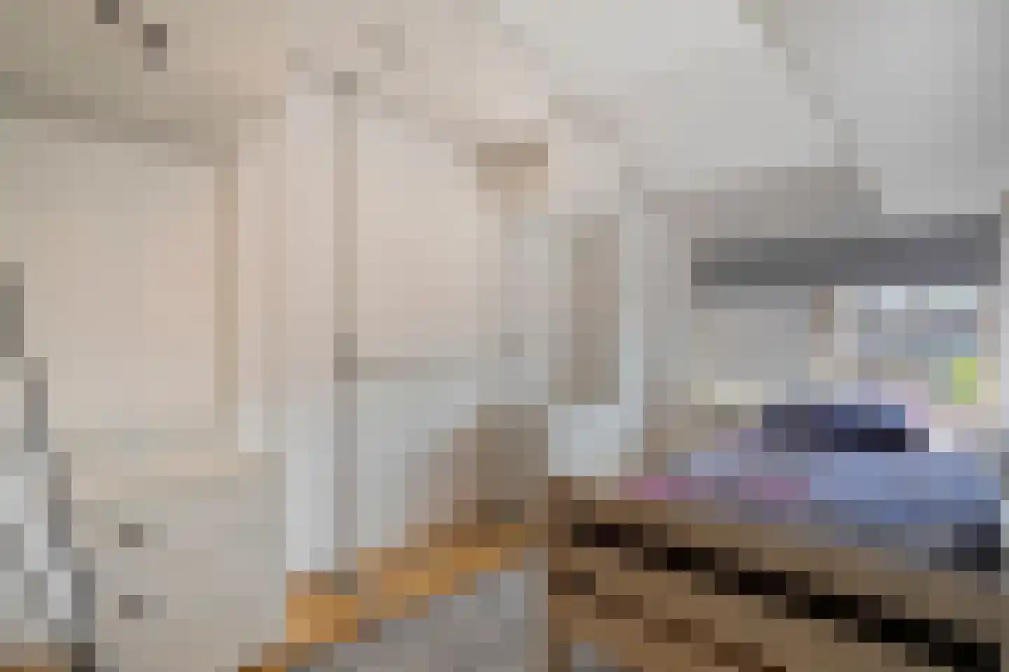 Begoniastraat 48 Zwolle thumbnail 18