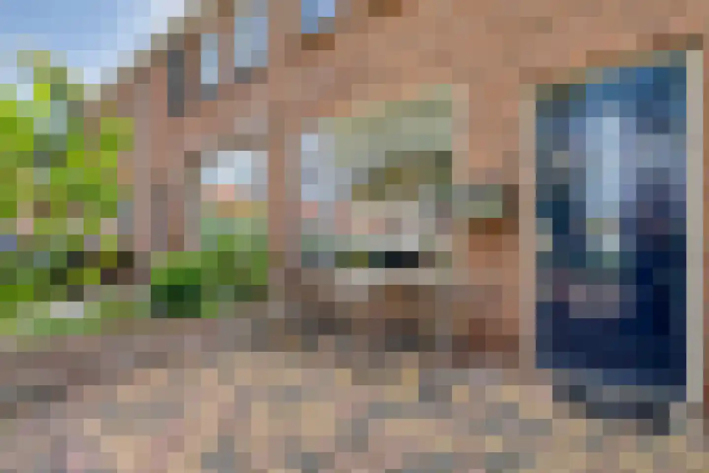 Begoniastraat 48 Zwolle thumbnail 36