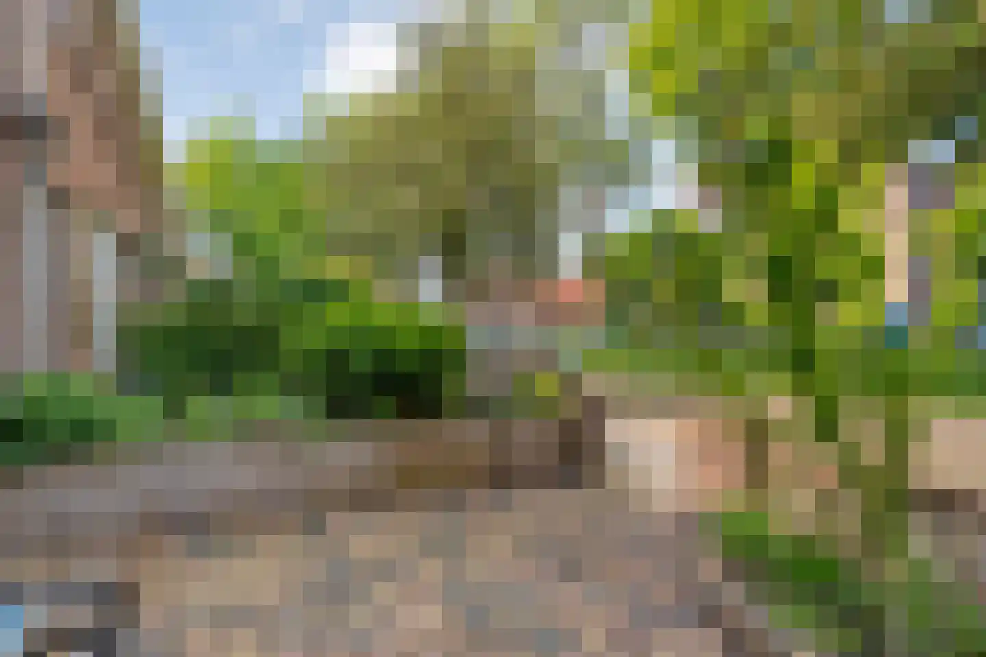 Begoniastraat 48 Zwolle thumbnail 37