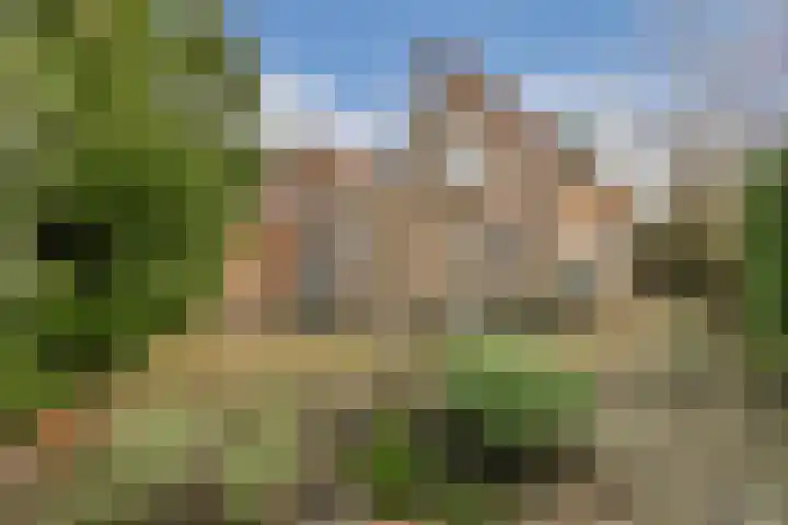Begoniastraat 5 Aalsmeer thumbnail 12