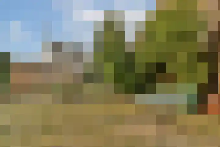 Begoniastraat 5 Aalsmeer thumbnail 13