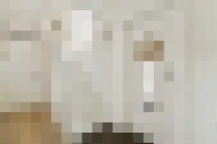 Begoniastraat 5 Aalsmeer thumbnail 27