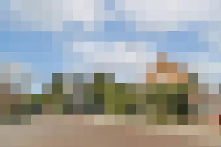 Begoniastraat 5 Aalsmeer thumbnail 36