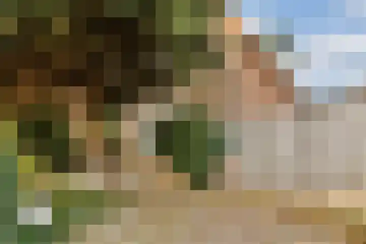 Begoniastraat 5 Aalsmeer thumbnail 37