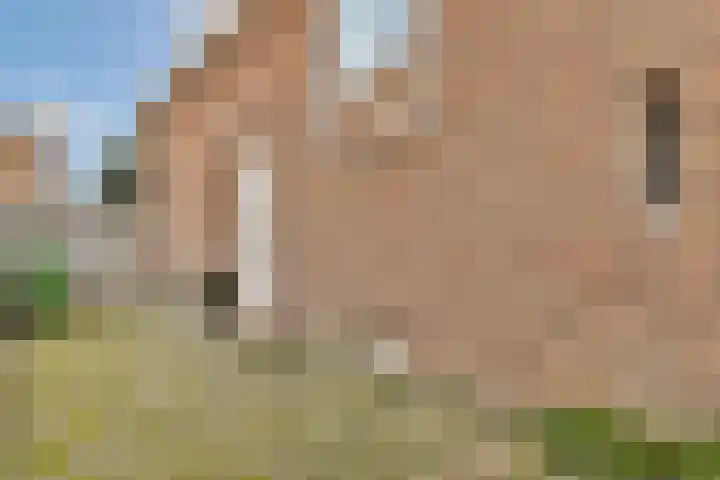 Begoniastraat 5 Aalsmeer thumbnail 38