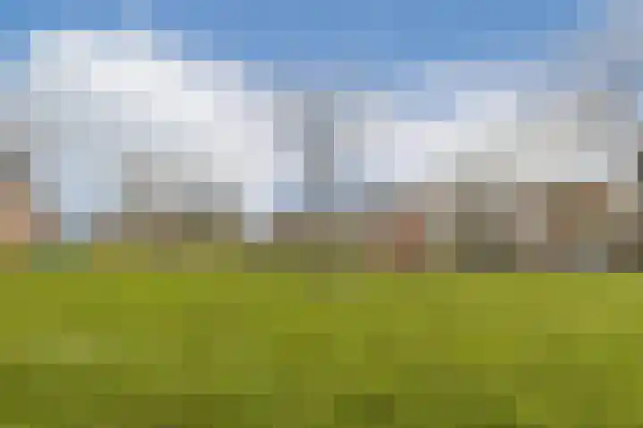 Begoniastraat 5 Aalsmeer thumbnail 39