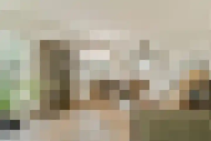 Begoniastraat 5 Aalsmeer thumbnail 5