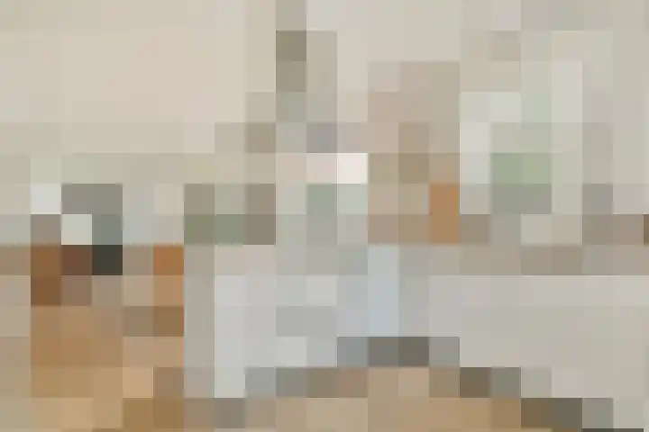 Begoniastraat 5 Aalsmeer thumbnail 8