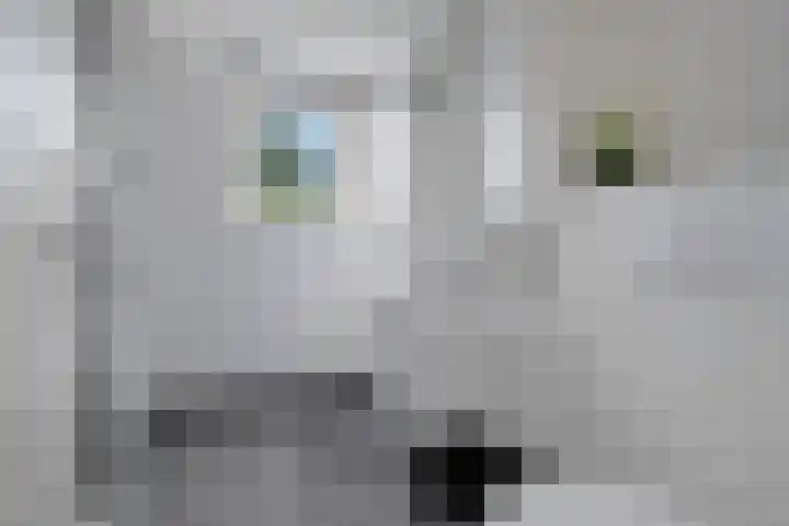 Begoniastraat 5 Losser thumbnail 15