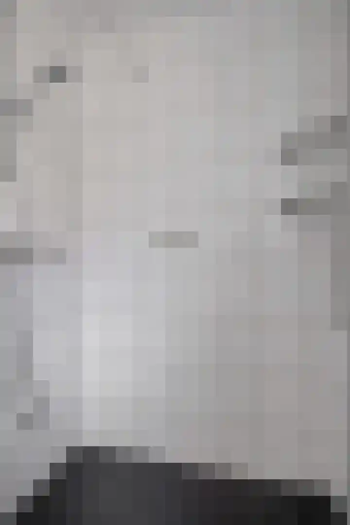 Begoniastraat 5 Losser thumbnail 17