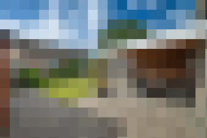 Begoniastraat 5 Losser thumbnail 21