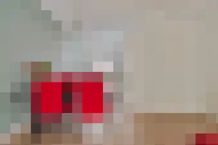 Begoniastraat 51 Enschede thumbnail 10