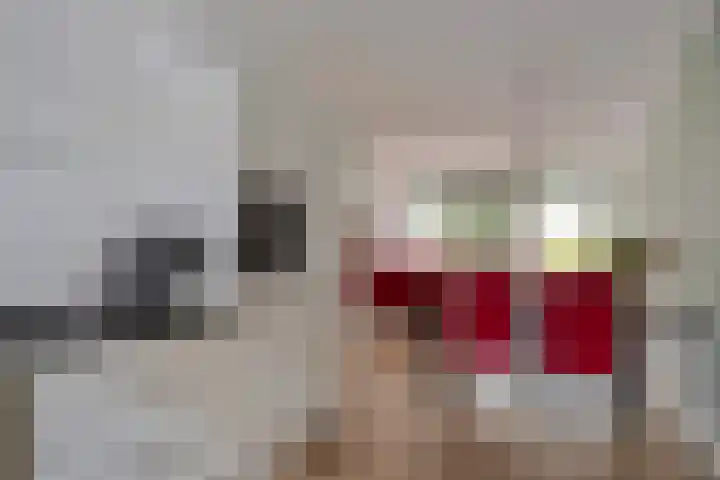 Begoniastraat 51 Enschede thumbnail 12