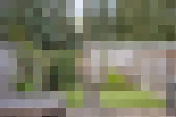 Begoniastraat 51 Enschede thumbnail 26