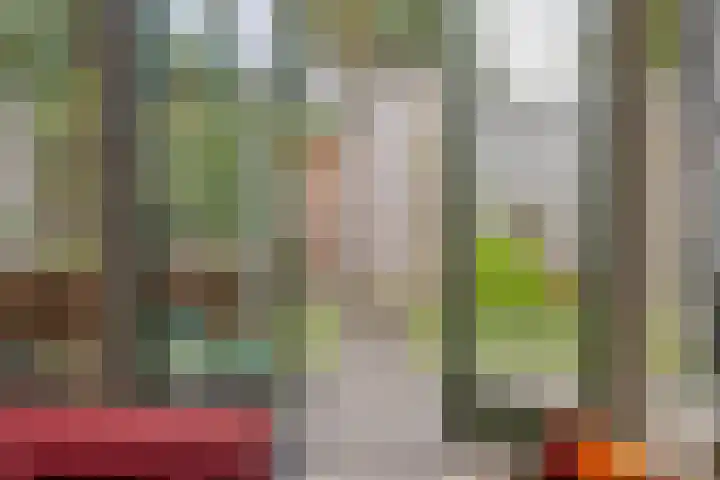 Begoniastraat 51 Enschede thumbnail 7