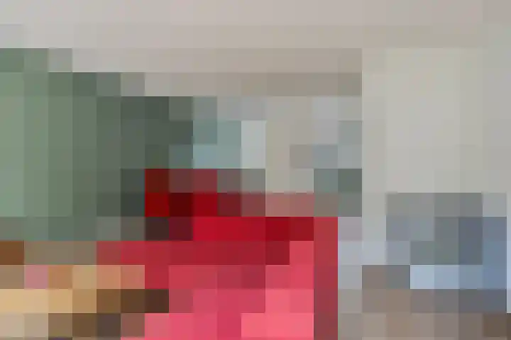Begoniastraat 51 Enschede thumbnail 9