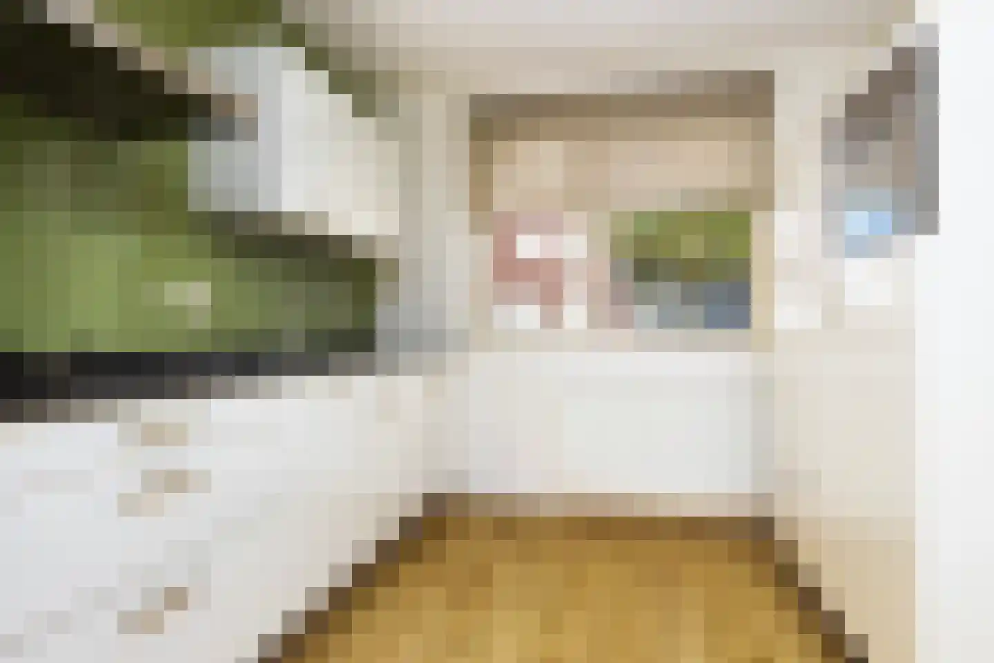 Begoniastraat 54 Doetinchem thumbnail 4