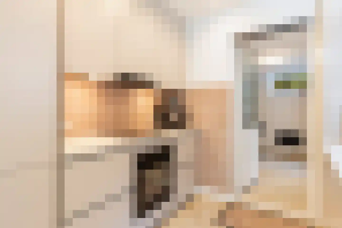 Begoniastraat 56 Hilversum thumbnail 11