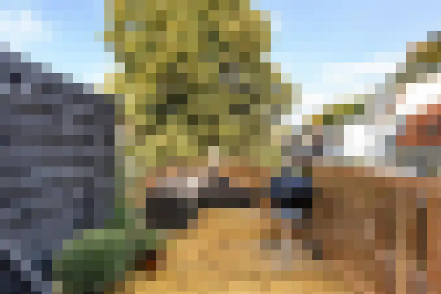 Begoniastraat 56 Hilversum thumbnail 17