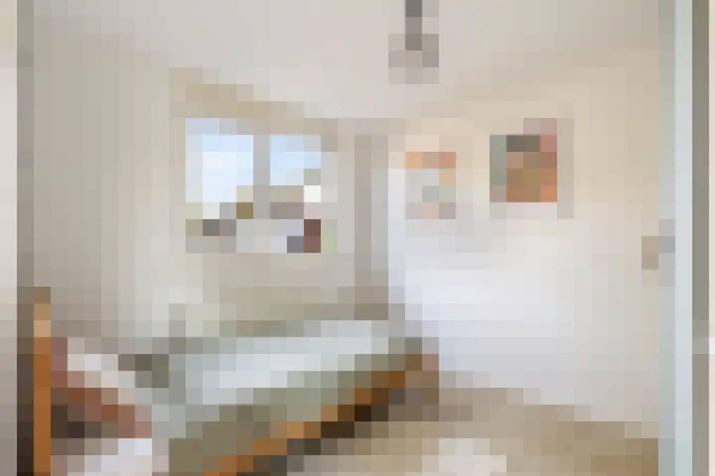 Begoniastraat 56 Hilversum thumbnail 24