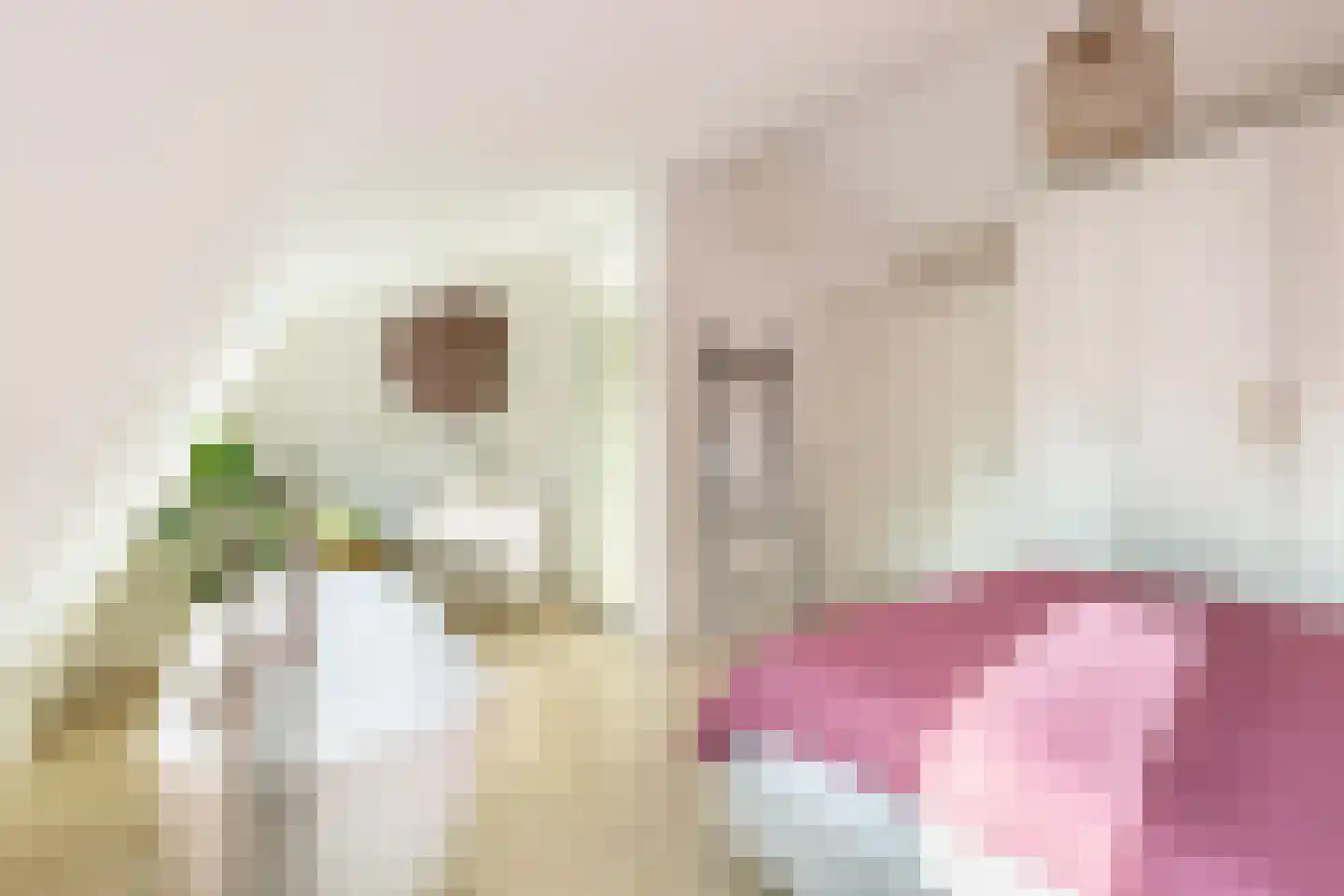 Begoniastraat 56 Hilversum thumbnail 31