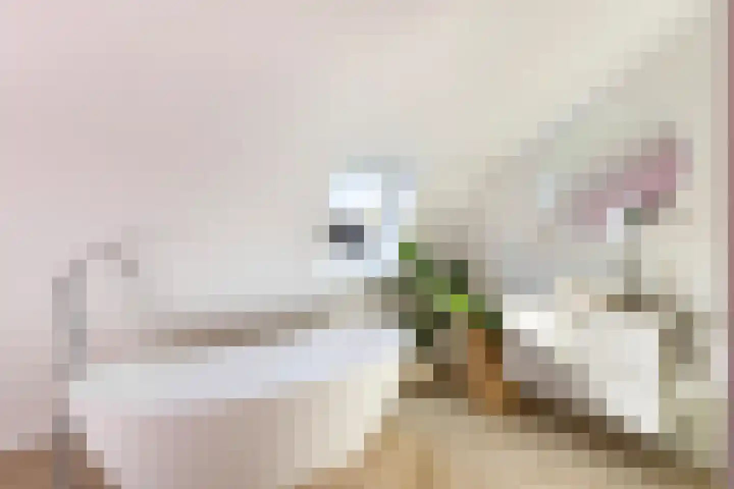 Begoniastraat 56 Hilversum thumbnail 33