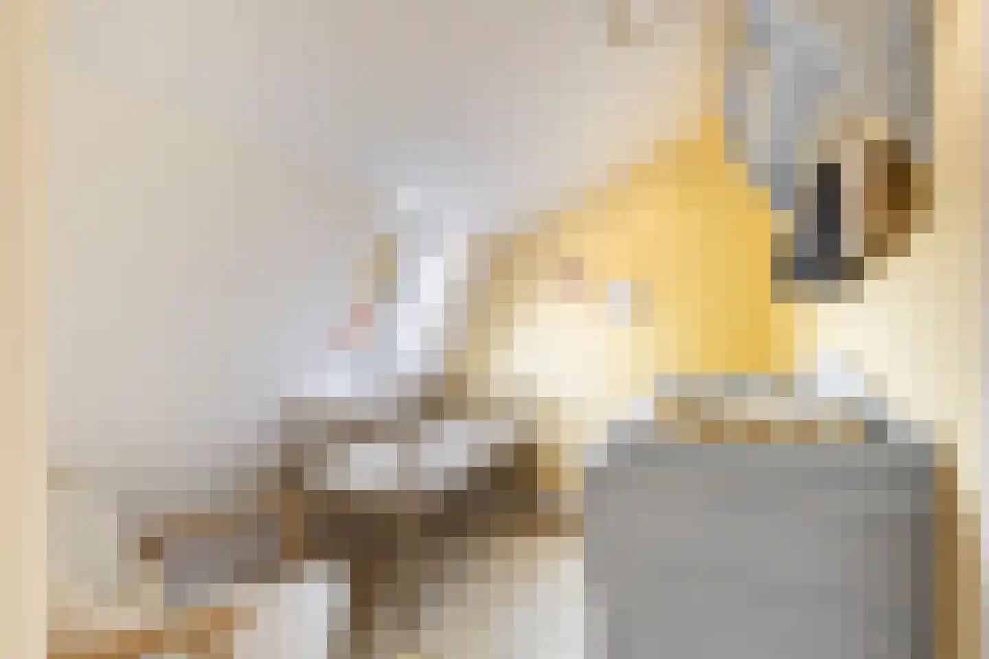 Begoniastraat 56 Hilversum thumbnail 35