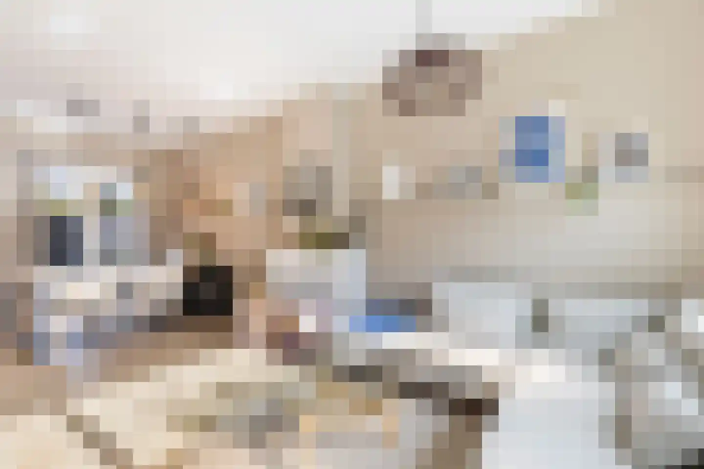 Begoniastraat 56 Hilversum thumbnail 7