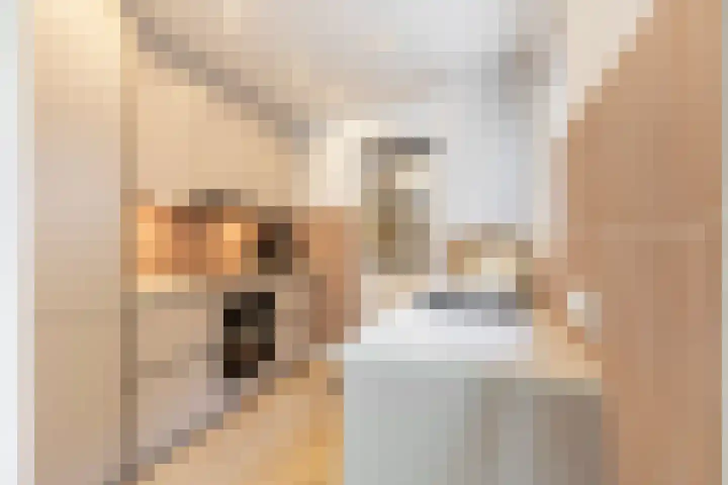 Begoniastraat 56 Hilversum thumbnail 9