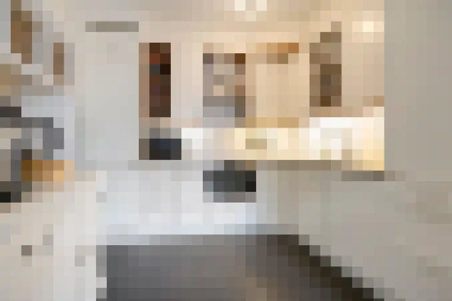 Begoniastraat 57 Barneveld thumbnail 14
