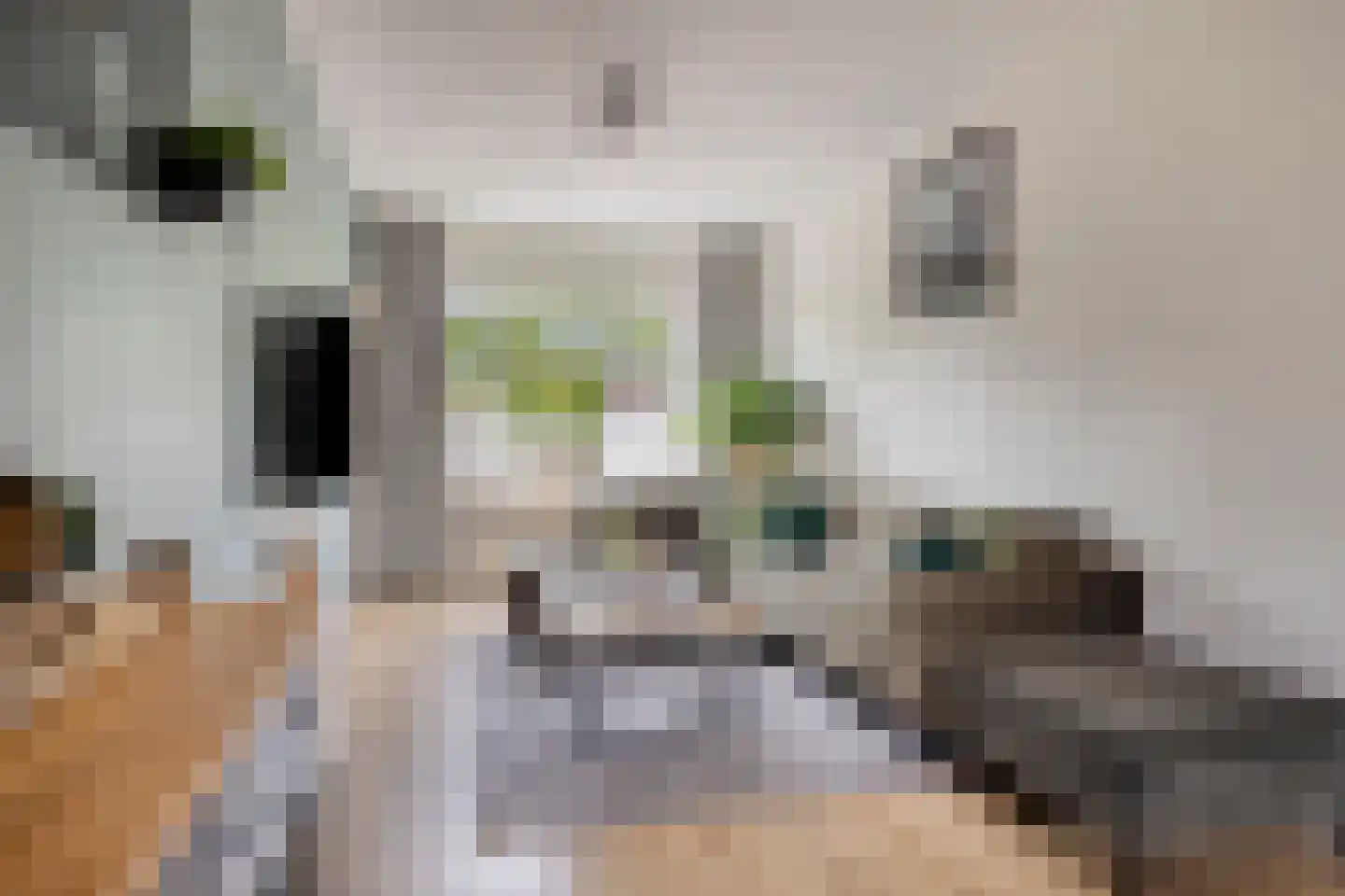 Begoniastraat 57 Barneveld thumbnail 6