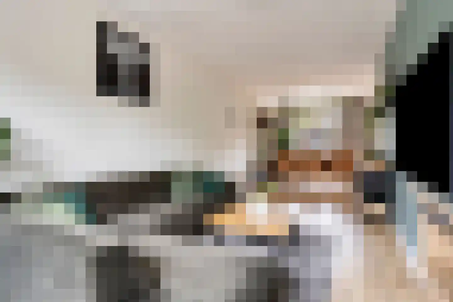 Begoniastraat 57 Barneveld thumbnail 7