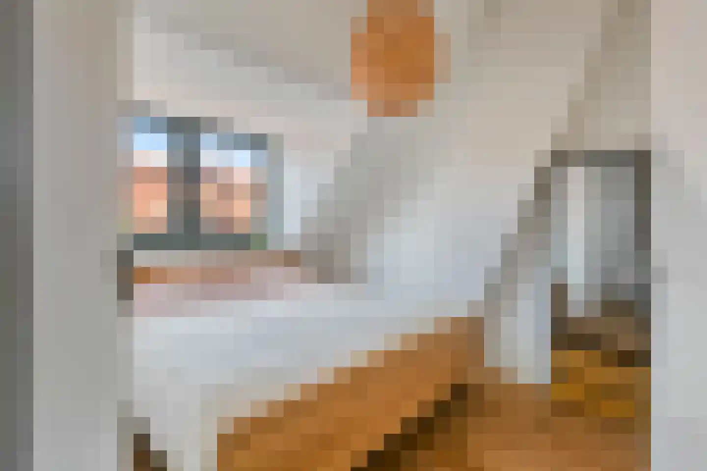 Begoniastraat 6 A Amsterdam thumbnail 18