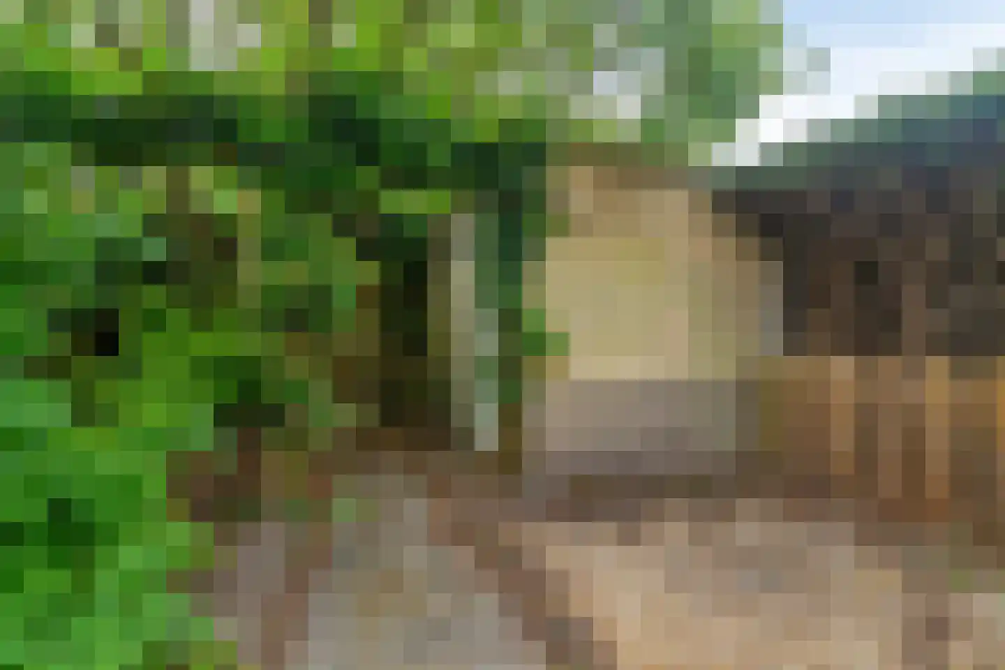 Begoniastraat 6 Badhoevedorp thumbnail 21