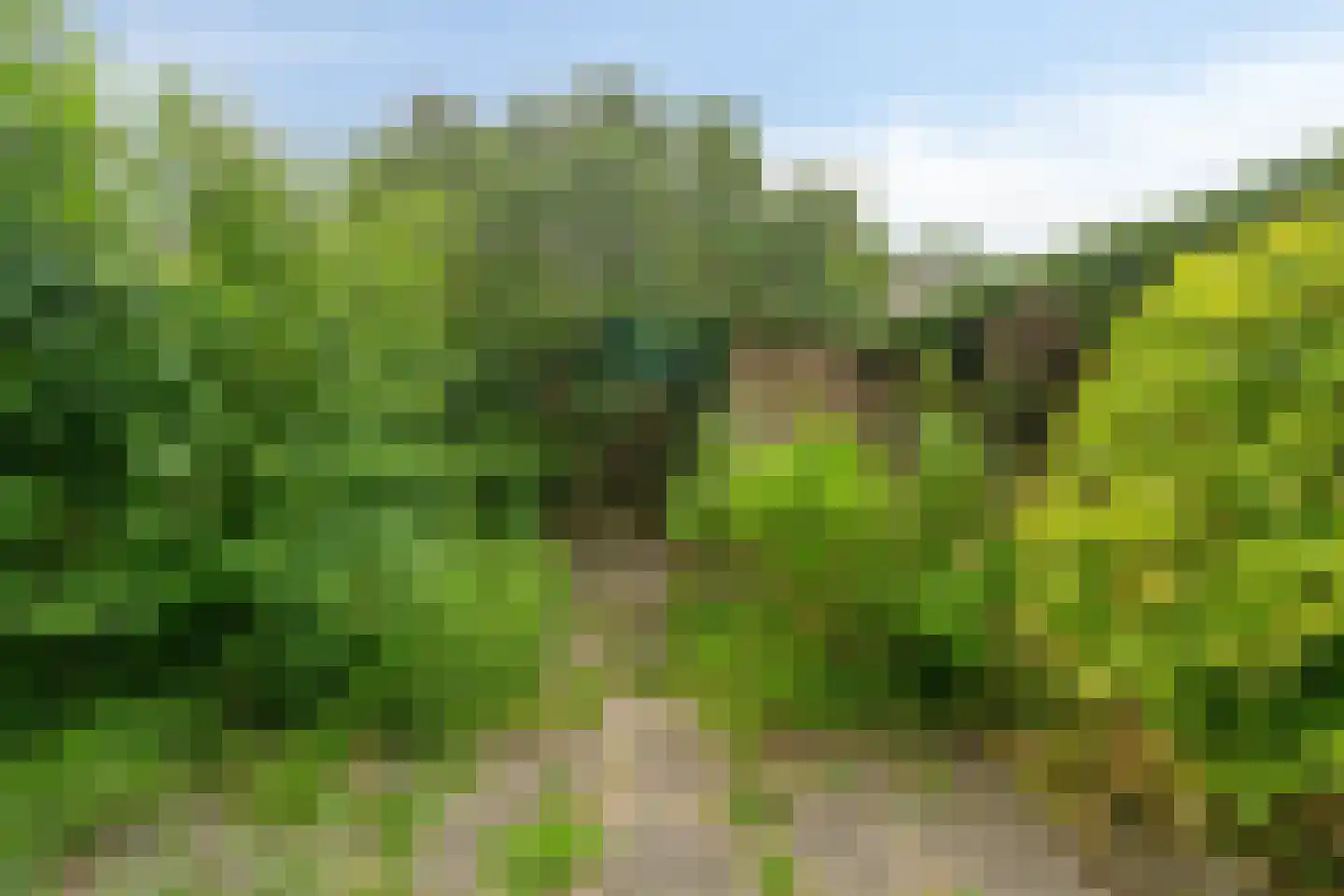 Begoniastraat 6 Badhoevedorp thumbnail 22