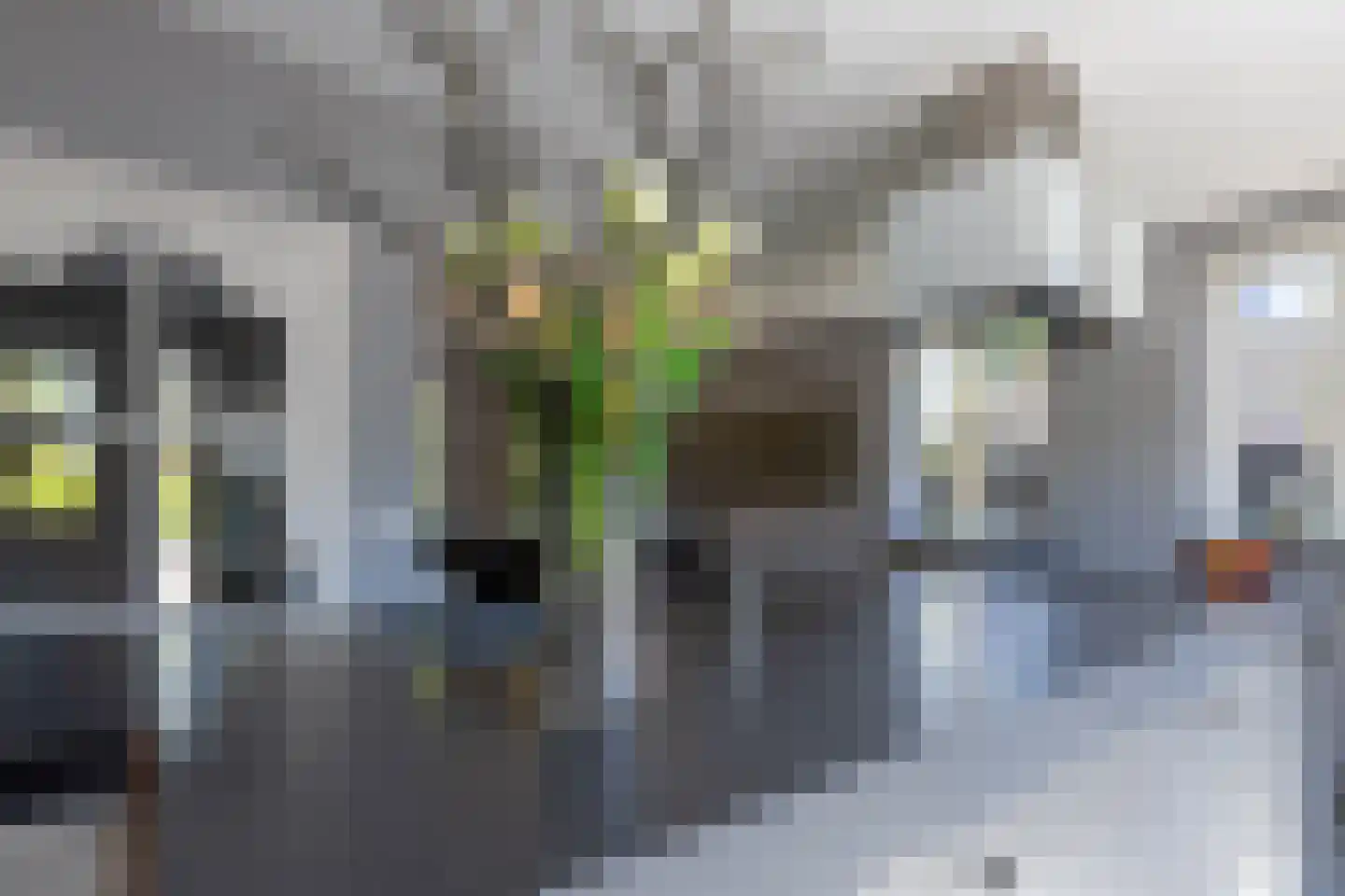 Begoniastraat 6 Bergen op Zoom thumbnail 11