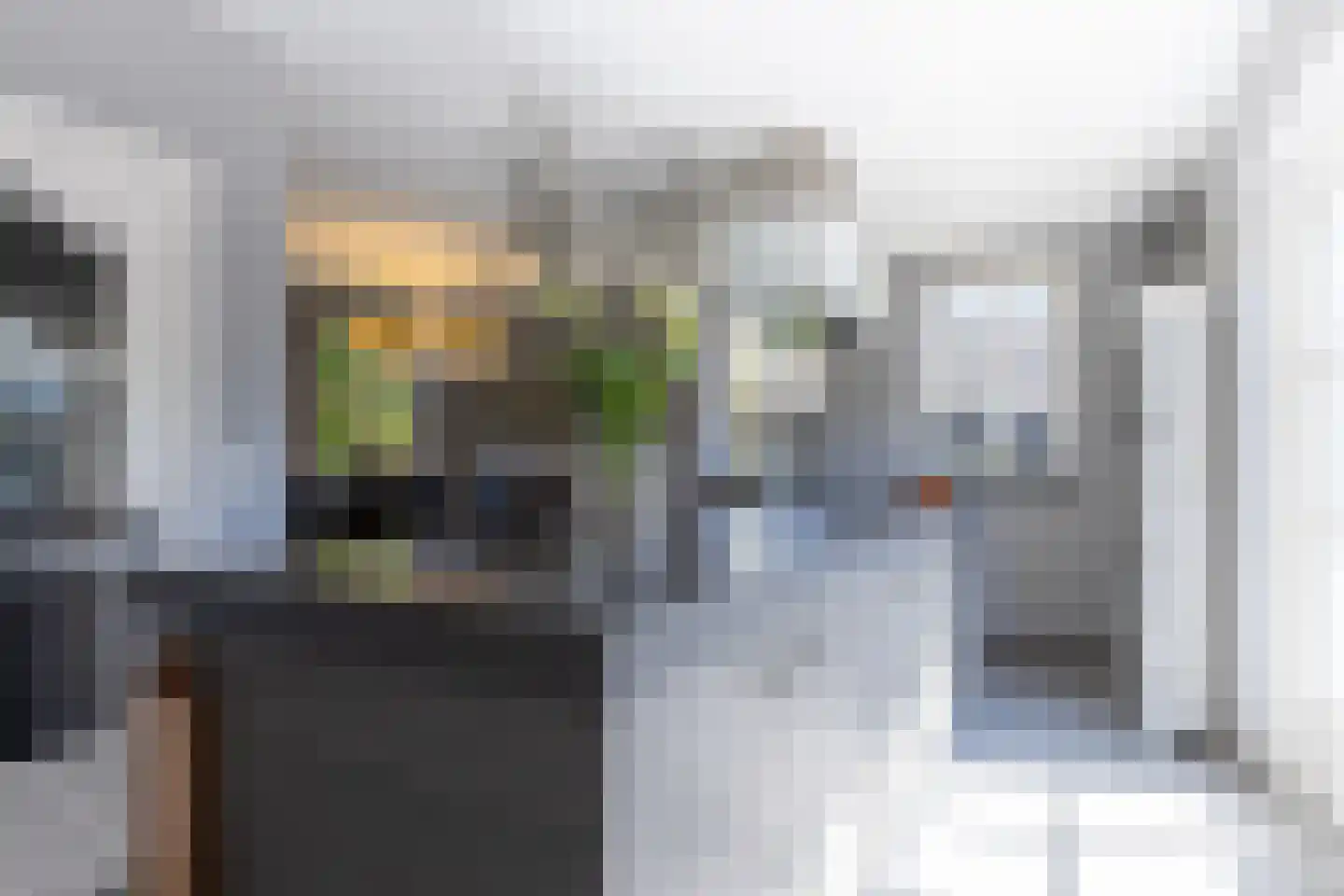 Begoniastraat 6 Bergen op Zoom thumbnail 13