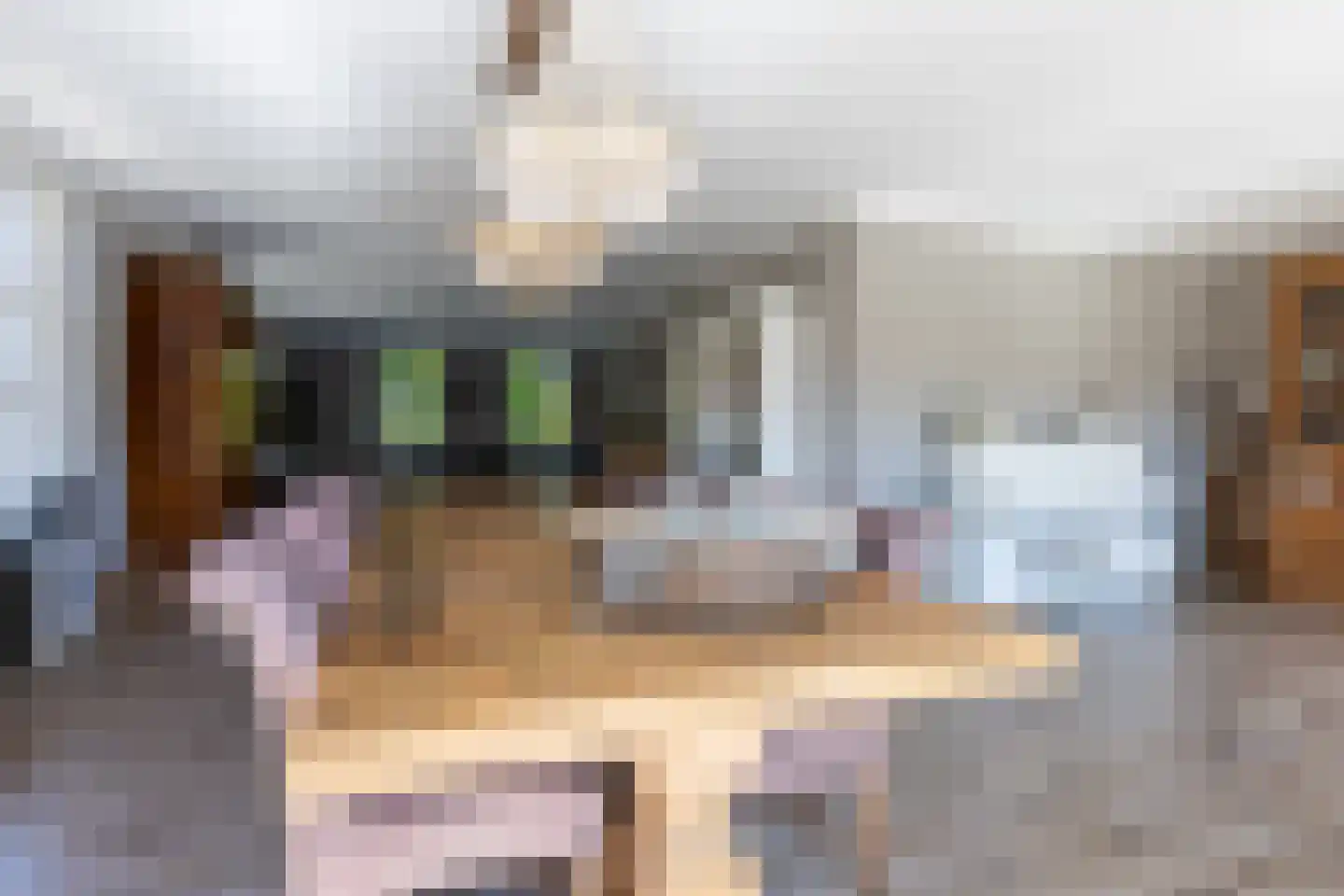 Begoniastraat 6 Bergen op Zoom thumbnail 17