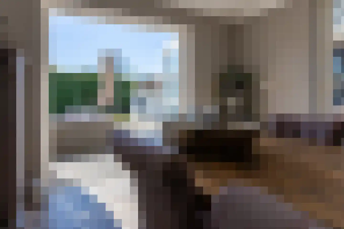 Begoniastraat 6 Bergen op Zoom thumbnail 18