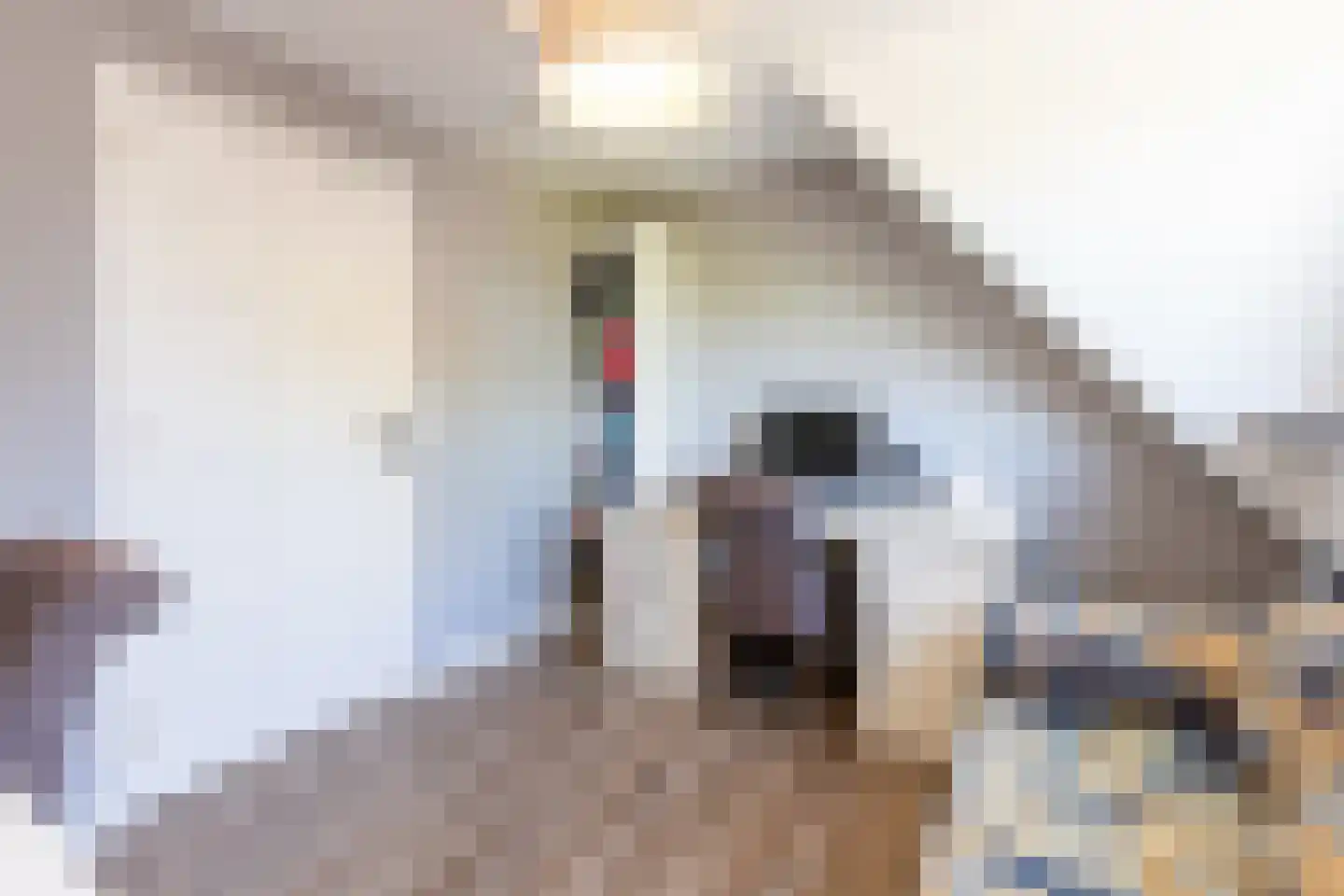 Begoniastraat 6 Bergen op Zoom thumbnail 30