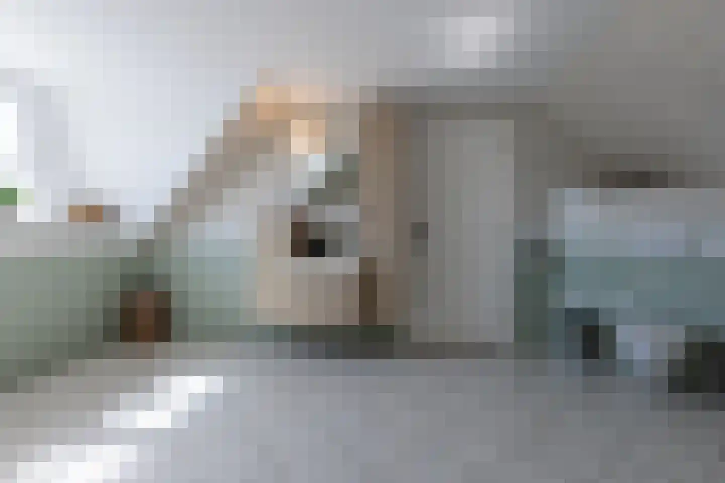 Begoniastraat 6 Bergen op Zoom thumbnail 39
