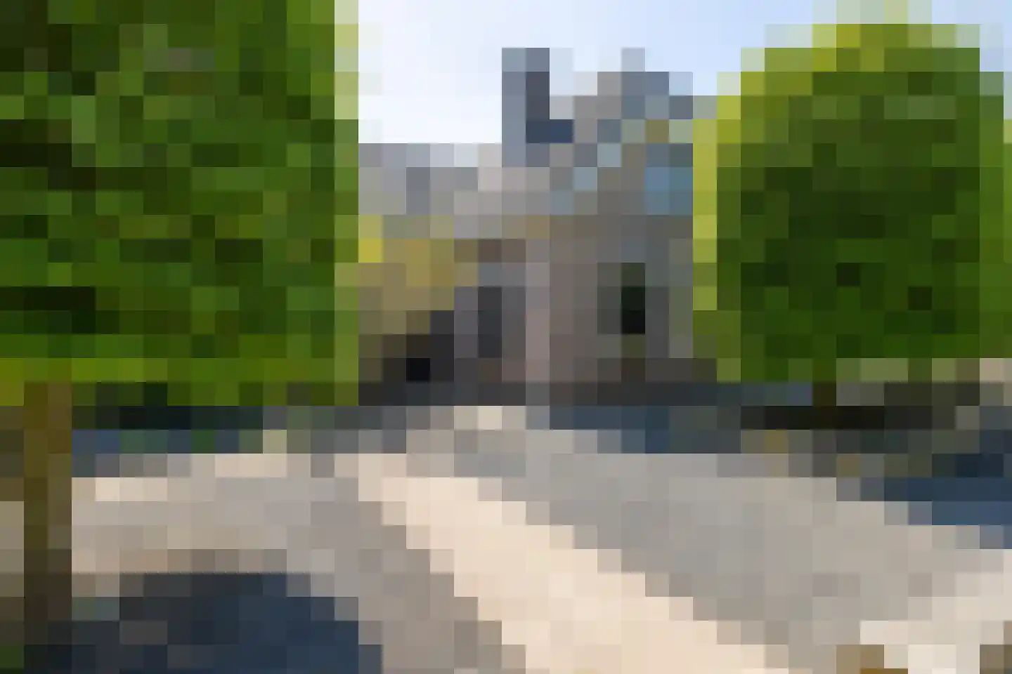 Begoniastraat 6 Bergen op Zoom thumbnail 4