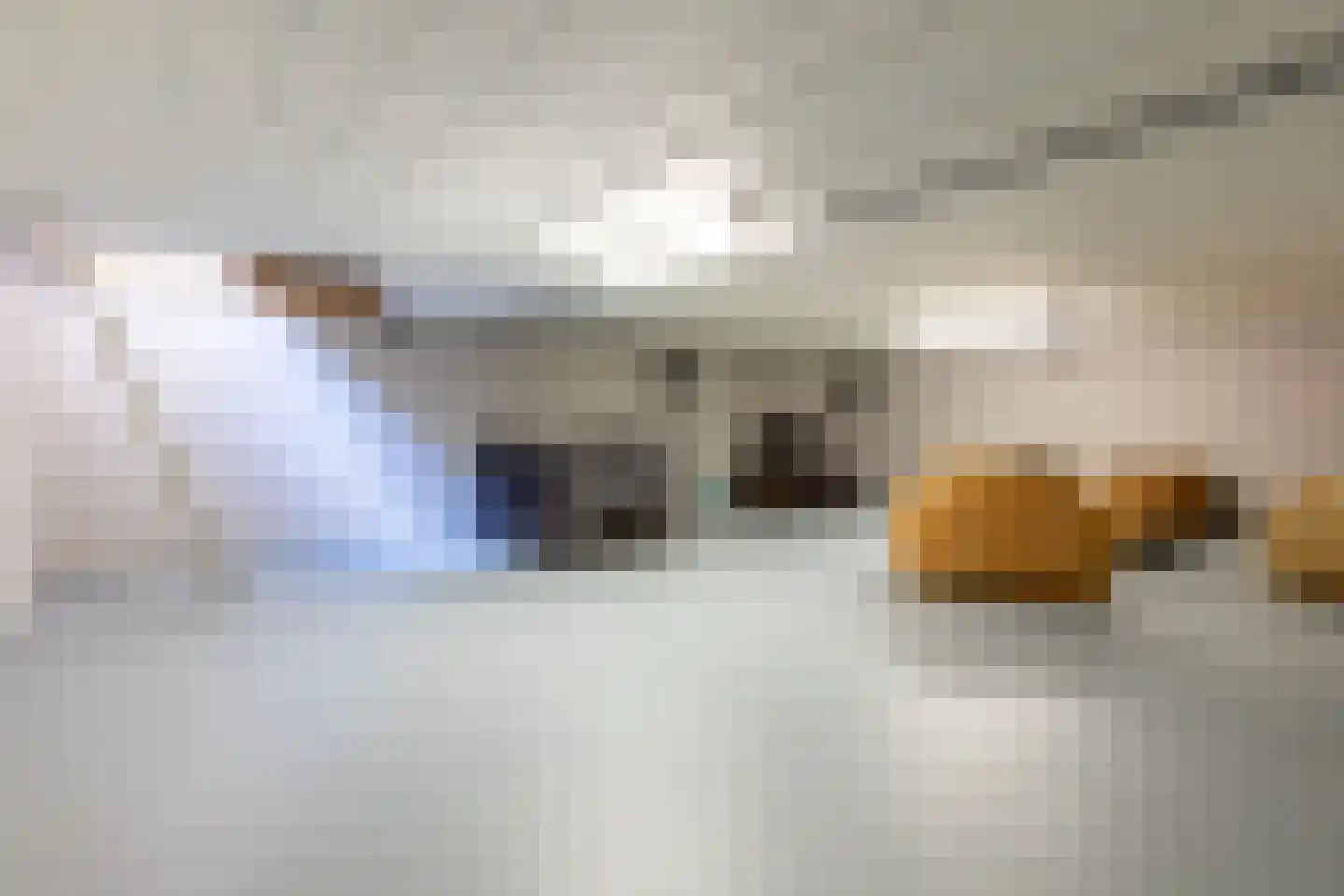 Begoniastraat 6 Bergen op Zoom thumbnail 41