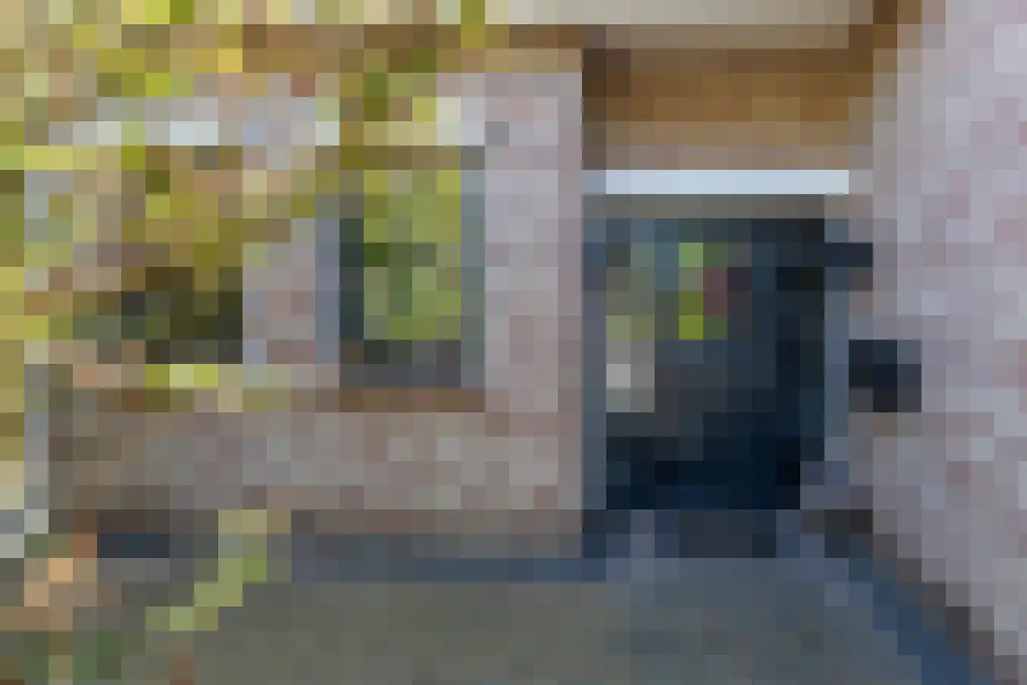 Begoniastraat 6 Bergen op Zoom thumbnail 5