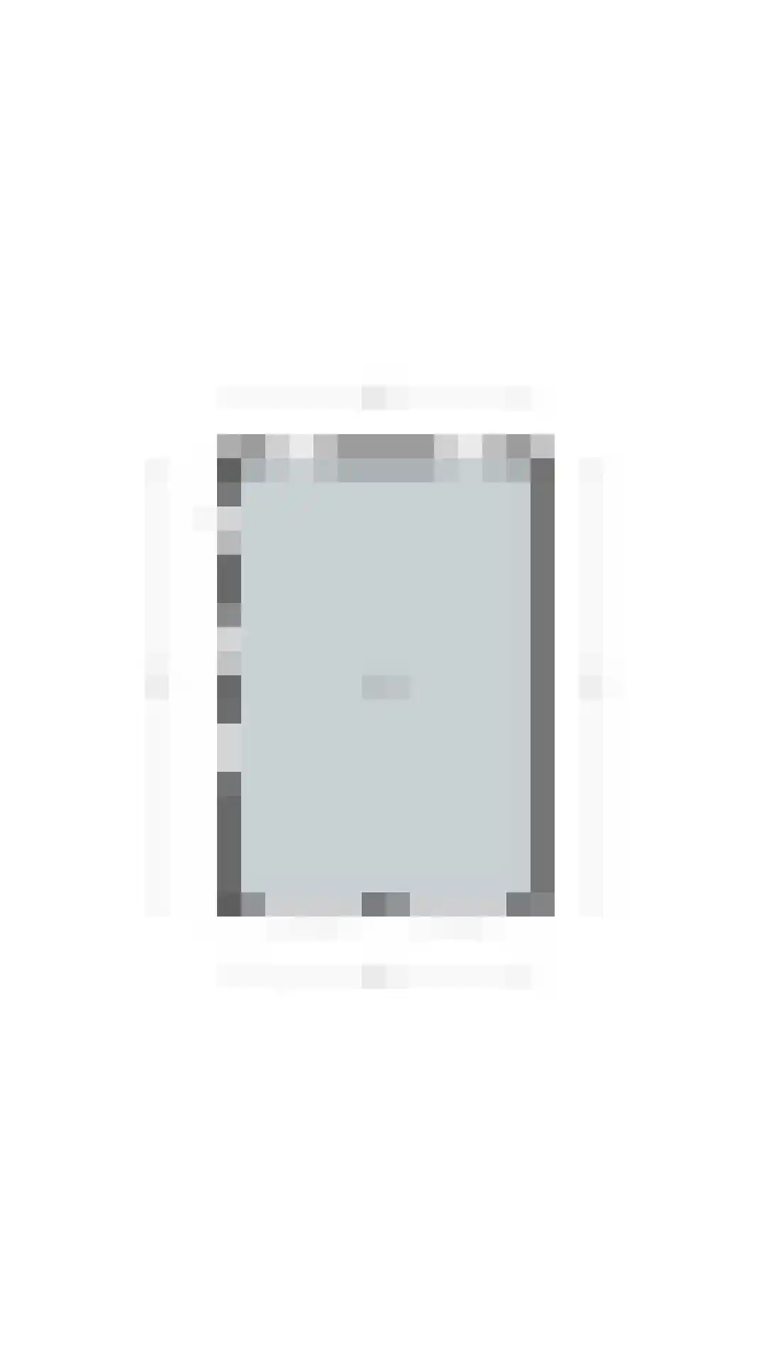 Begoniastraat 6 Bergen op Zoom thumbnail 54