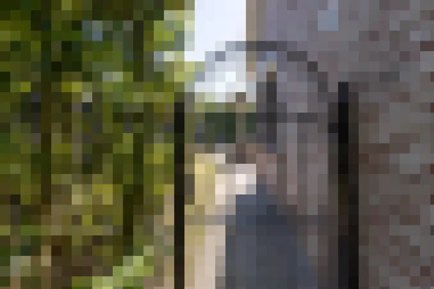 Begoniastraat 6 Bergen op Zoom thumbnail 6