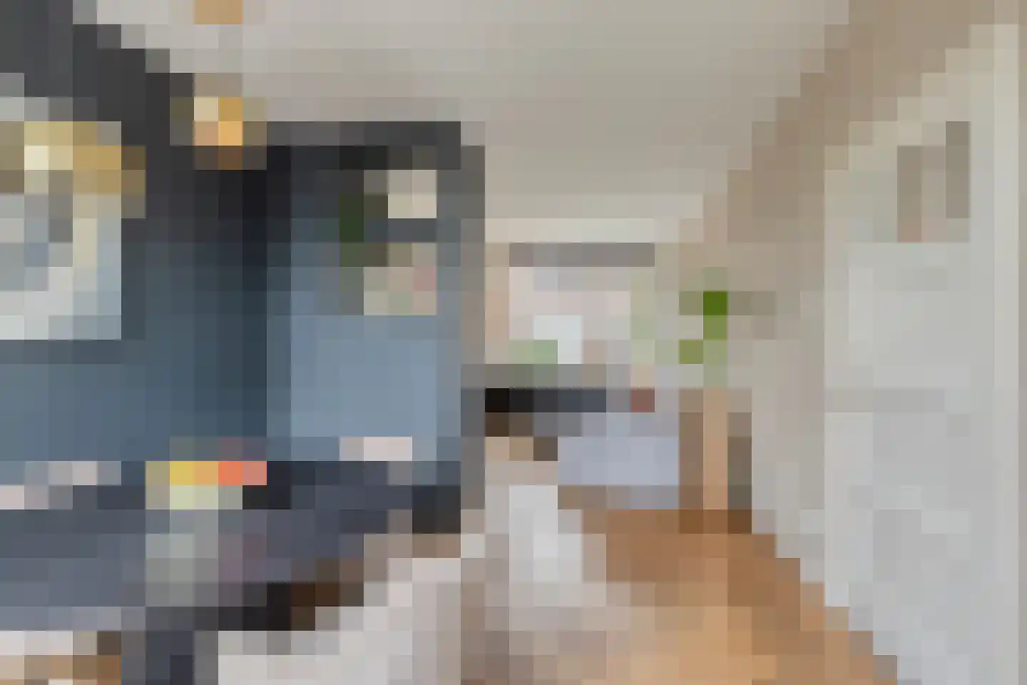 Begoniastraat 6 Eindhoven thumbnail 11